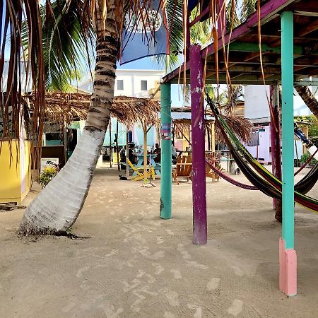 Tropical Oasis Caye Caulker Ngoại thất bức ảnh