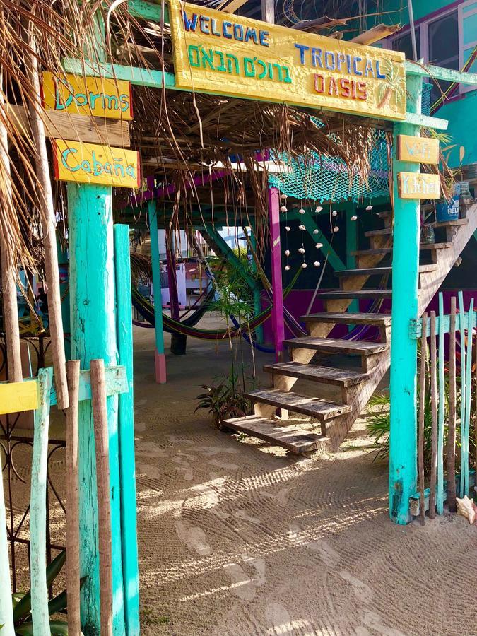 Tropical Oasis Caye Caulker Ngoại thất bức ảnh