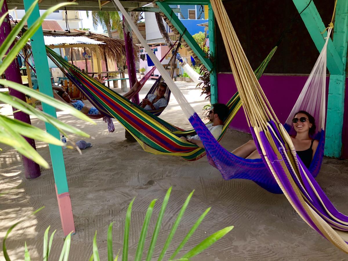 Tropical Oasis Caye Caulker Ngoại thất bức ảnh